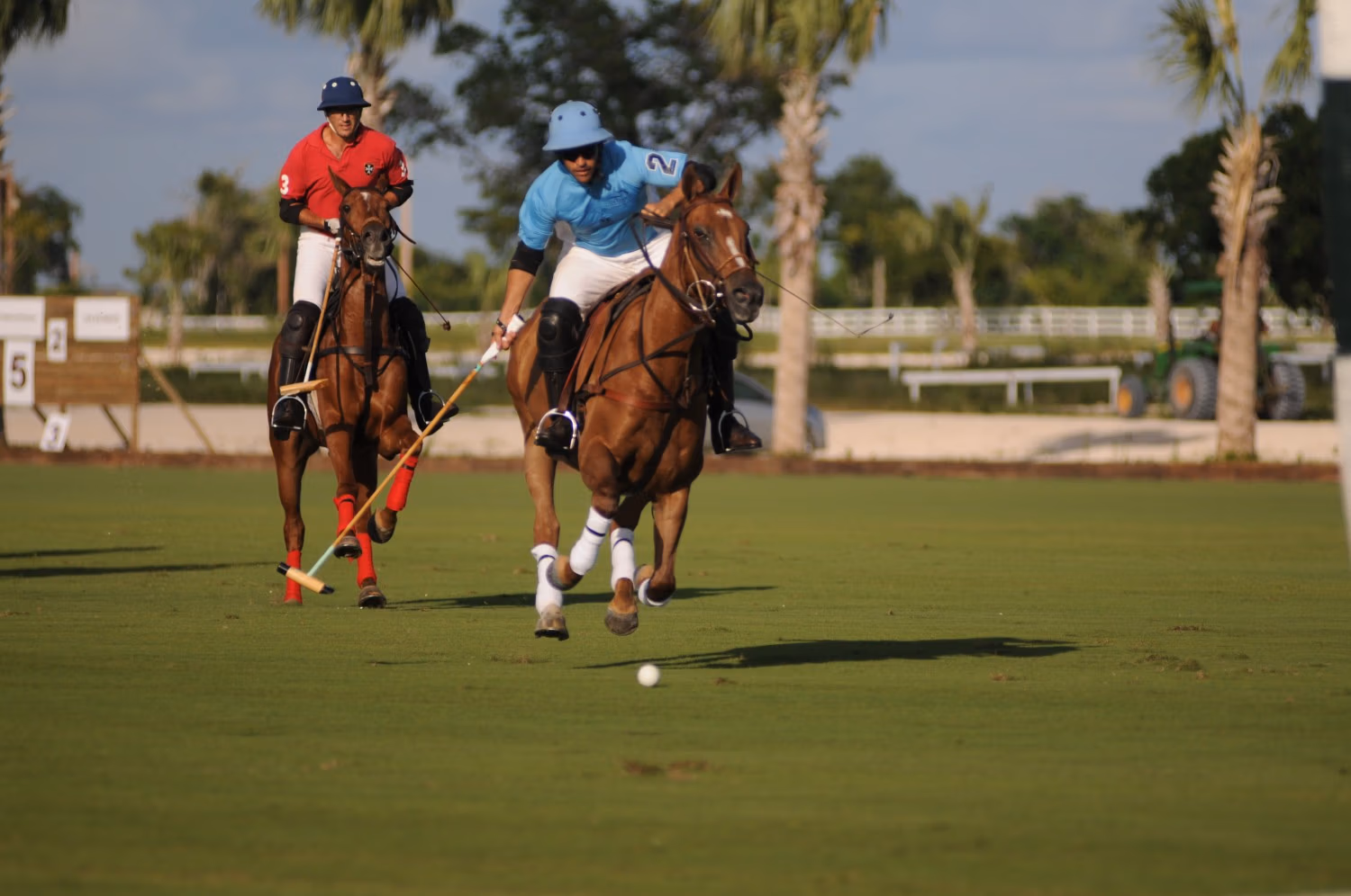 Polo at cap cana