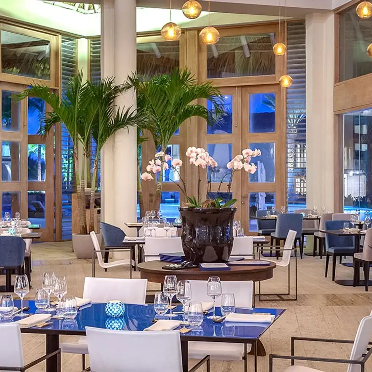 NEW GASTRONOMIC CONCEPT AT BLUE GRILL + BAR, EDEN ROC CAP CANA