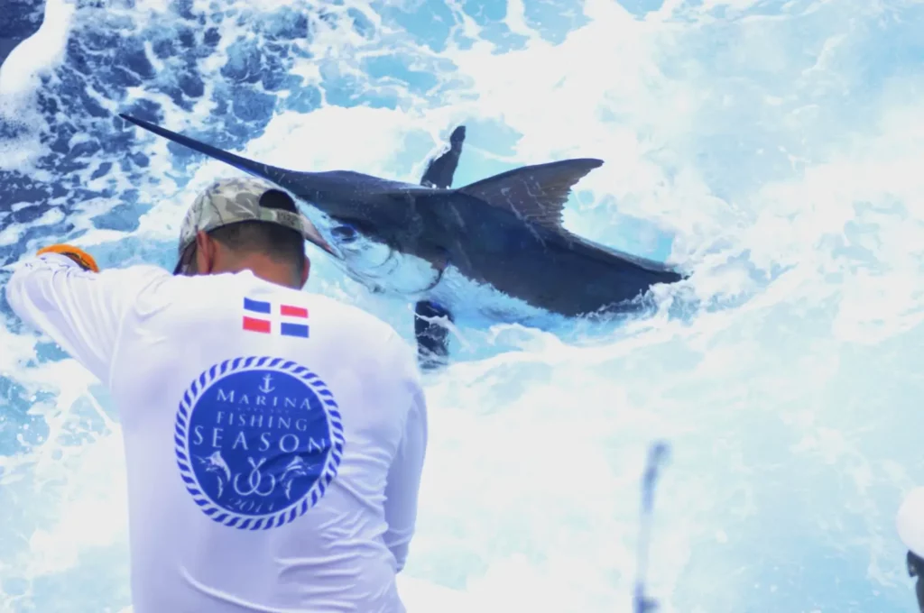 Marine opening activates sport fishing and arrival of boats to the DR