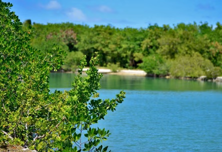 Cap Cana Un destino sostenible con transformación tecnológica
