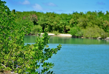 Cap Cana Un destino sostenible con transformación tecnológica