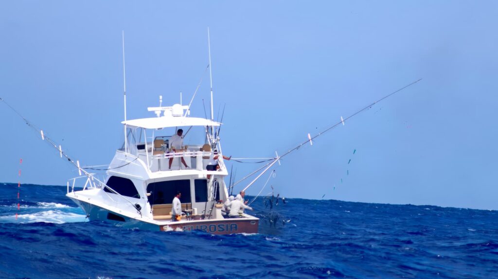 Marina Cap Cana Fishing Destination