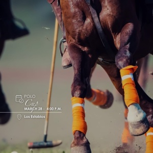 Cap Cana Polo Cup 2026