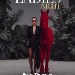 Ladies Night at WildRoom at Cap Cana
