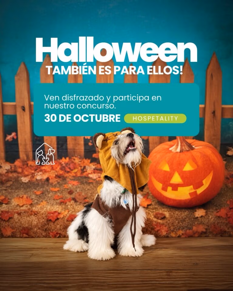 Halloween at Hospetality